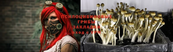 героин Михайлов