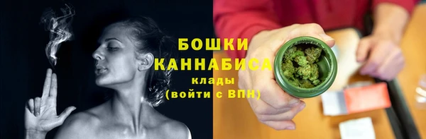 молекула духа Михайловск