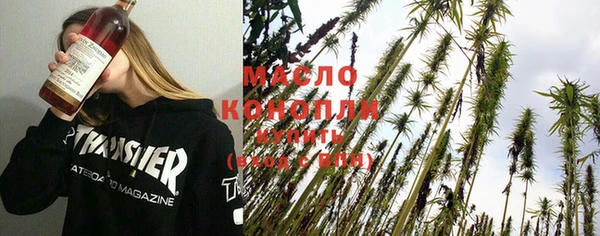 молекула духа Михайловск