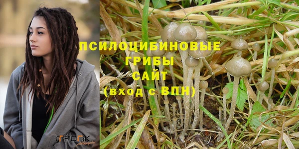 героин Михайлов