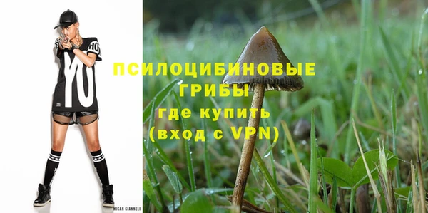 молекула духа Михайловск