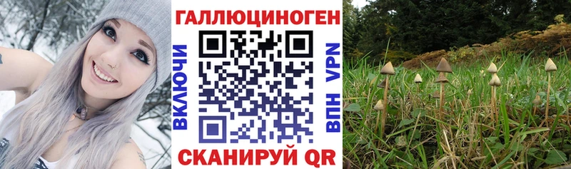 даркнет сайт  Дрезна  Псилоцибиновые грибы ЛСД 